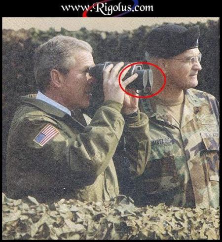 bush