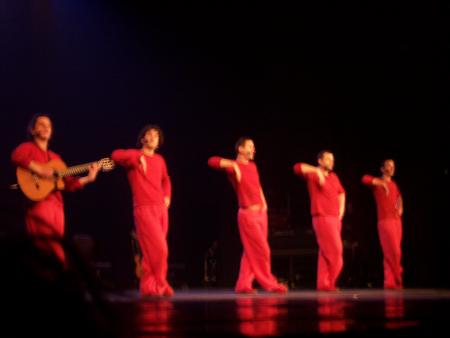 Les wriggles----->Papillons